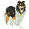 Dog Collie 12551