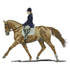 Dressage Horse Large 12705