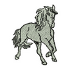 Horse 13834