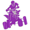 Quad Bike 11397