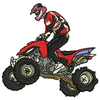 Quad Bike 11401
