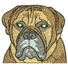 Bulldog 11998
