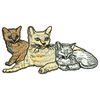 Cats 11168