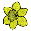 Daffodil 11717
