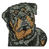 Rottweiler 11255