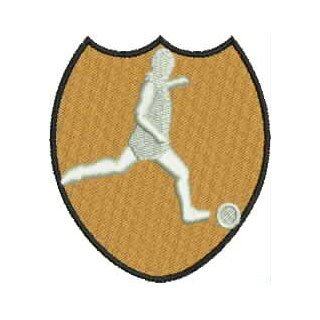 Football Crest 13411