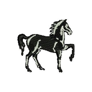 Horse 12834