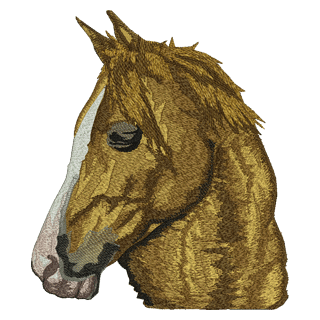 Horses Head Large 11241