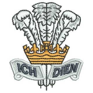 Welsh Feathers 11551