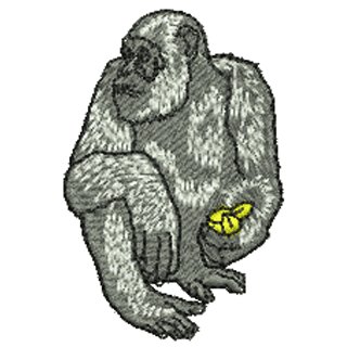 Ape 10881